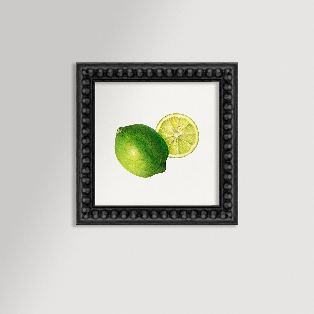 Lime Illustration Archival Reproduction Art Print
