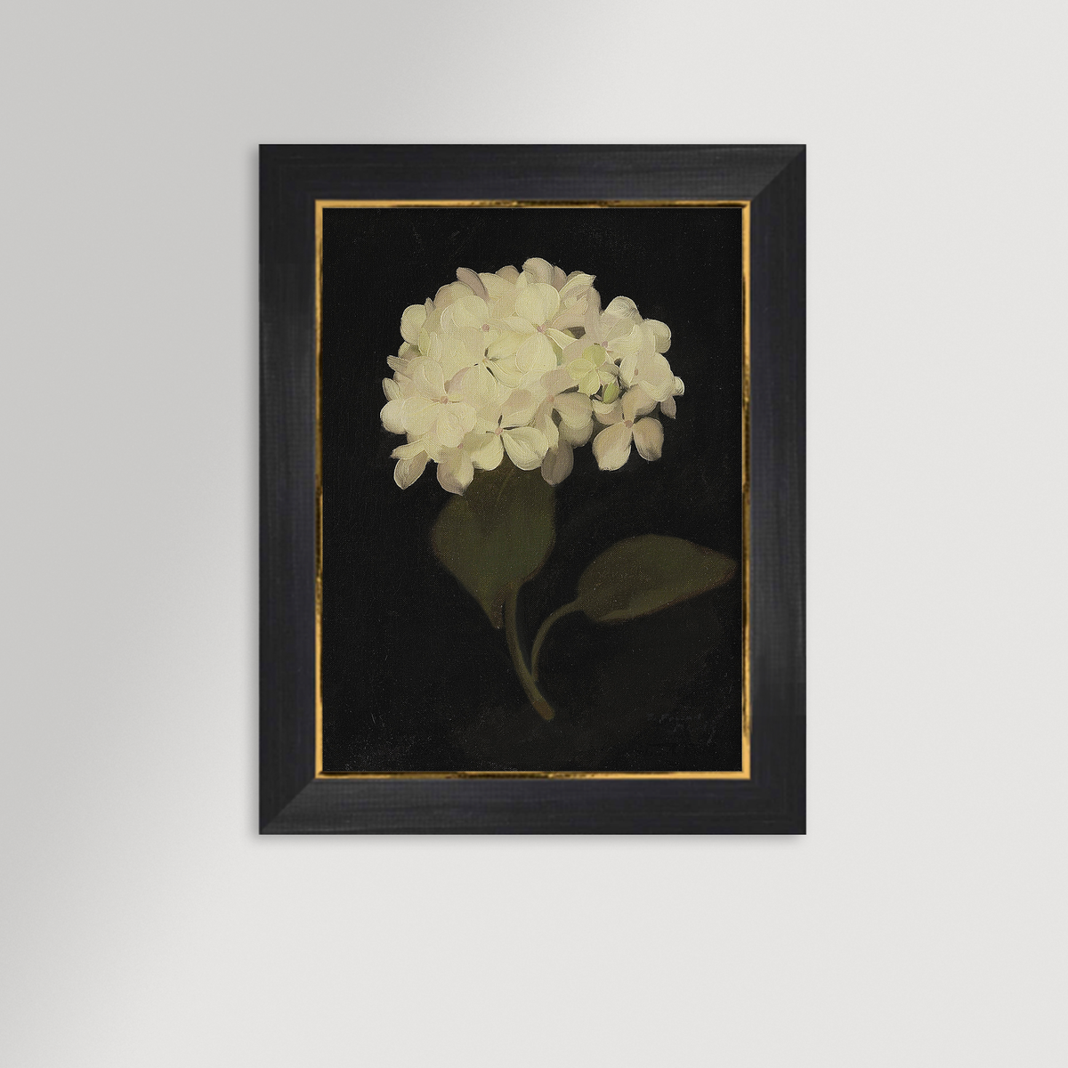 Hydrangea Black Archival Reproduction Art Print