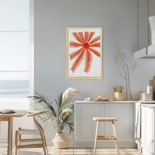 Starfish Graphic Illustration Archival Reproduction Art Print