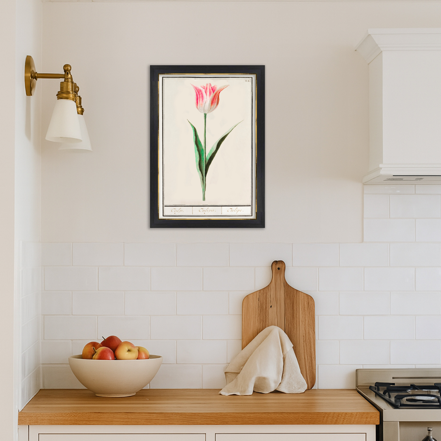 Botanical Tulip 22 Archival Reproduction Art Print