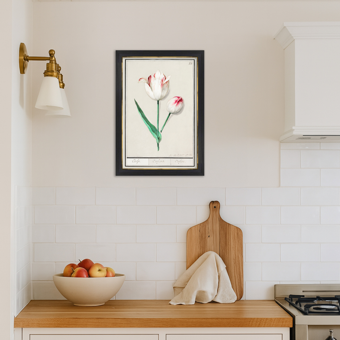 Botanical Tulip 33 Archival Reproduction Art Print