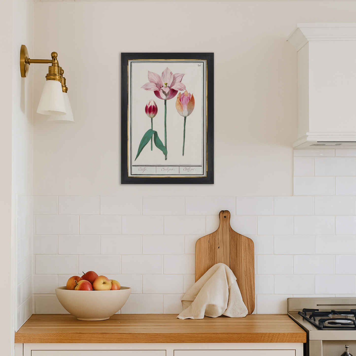 Botanical Tulip 36 Archival Reproduction Art Print