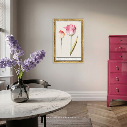 Botanical Tulip 39 Archival Reproduction Art Print