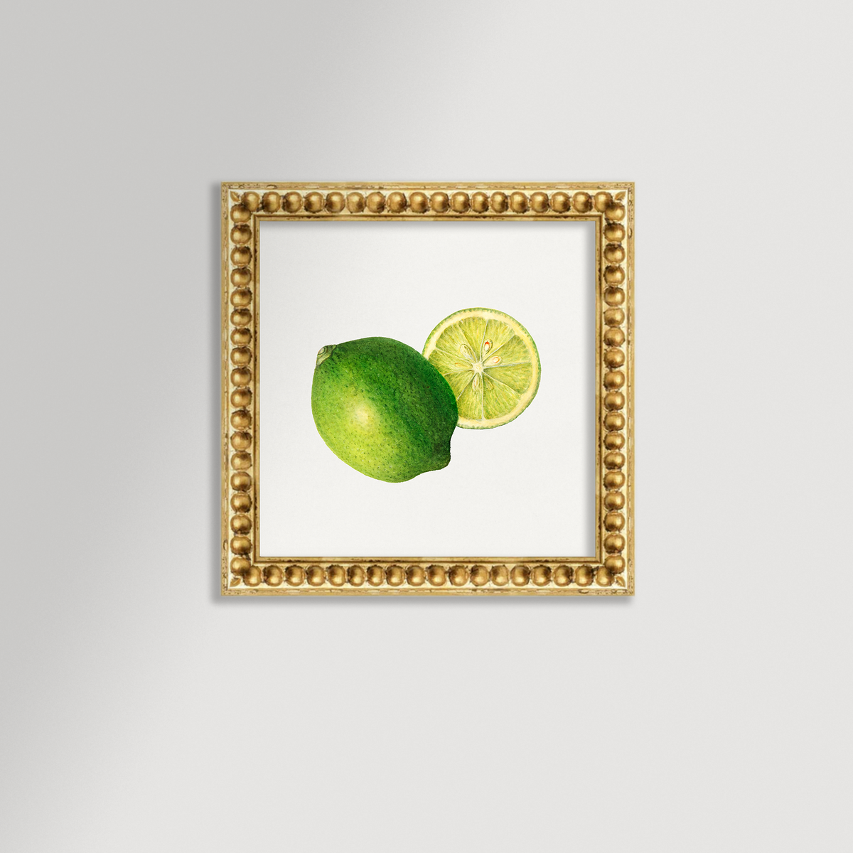 Lime Illustration Archival Reproduction Art Print