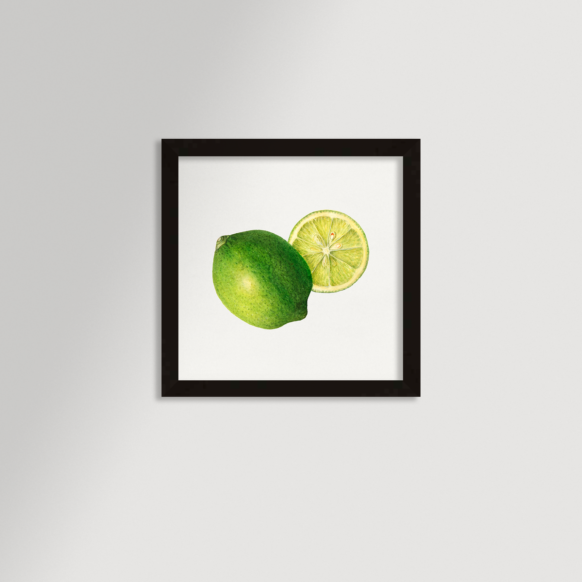 Lime Illustration Archival Reproduction Art Print