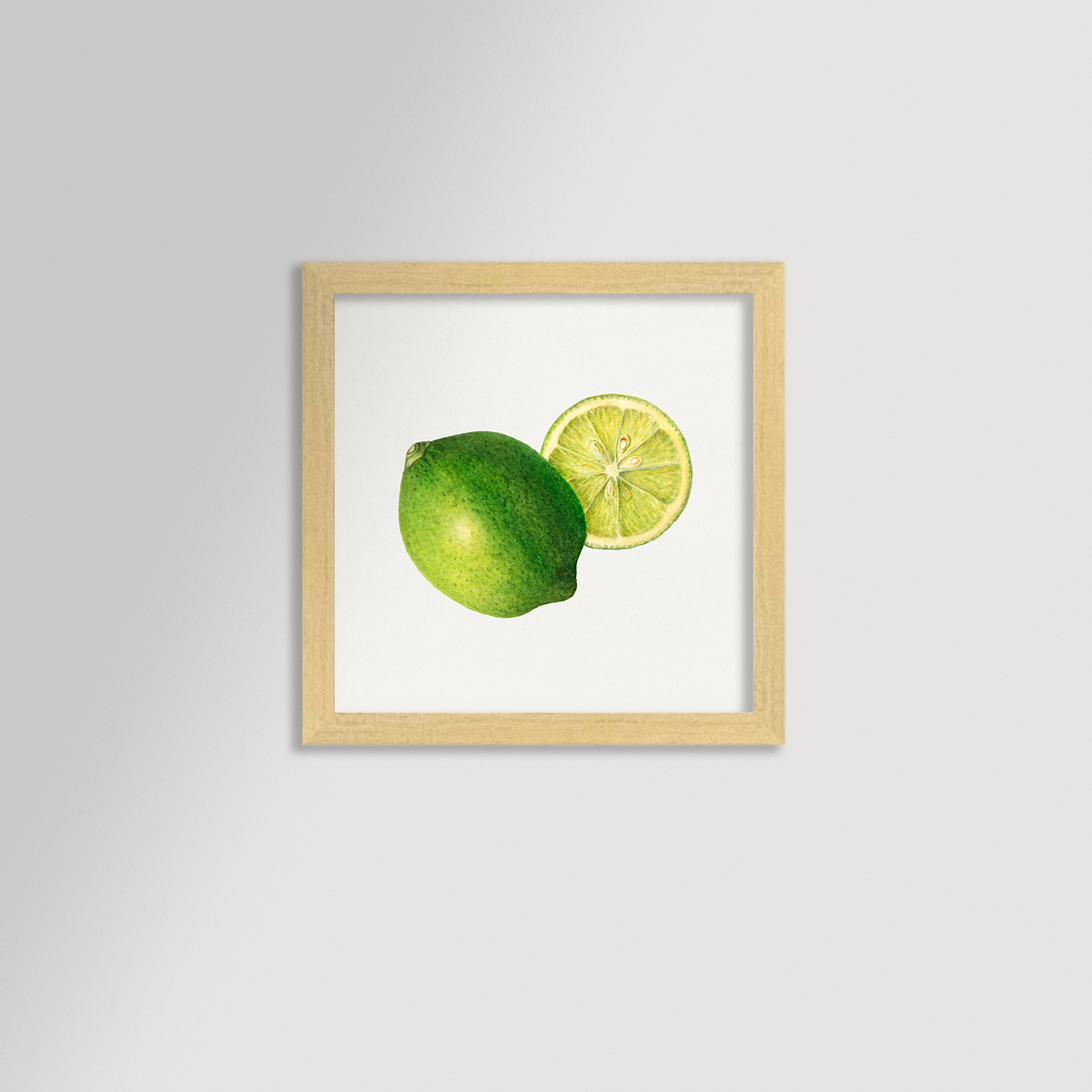 Lime Illustration Archival Reproduction Art Print