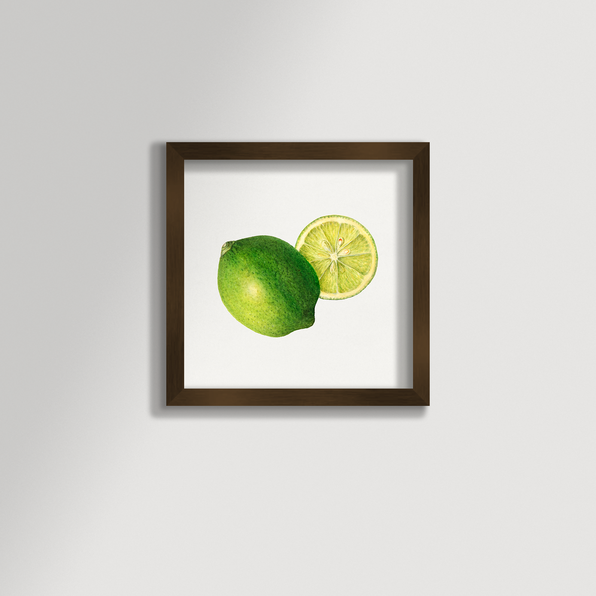 Lime Illustration Archival Reproduction Art Print