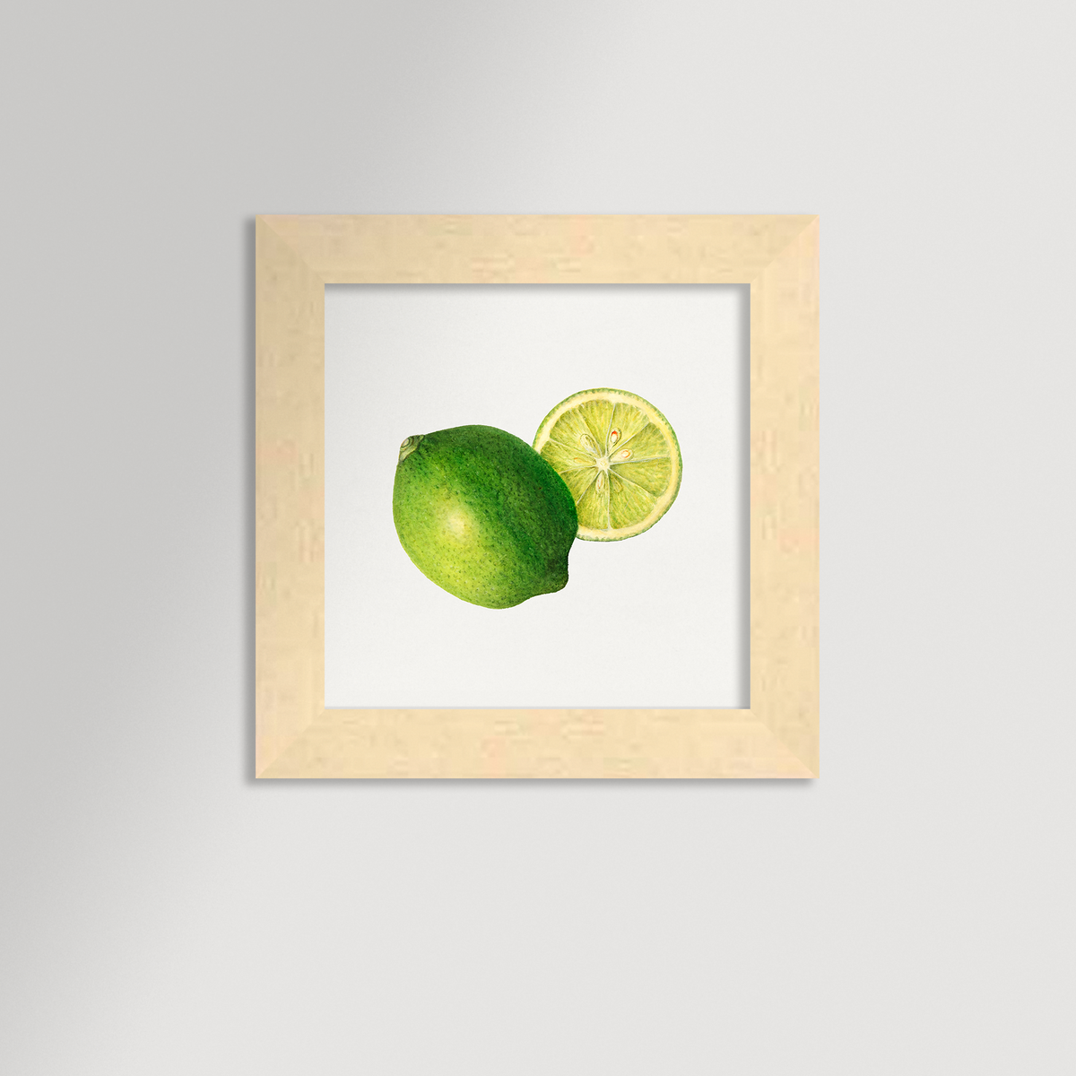 Lime Illustration Archival Reproduction Art Print