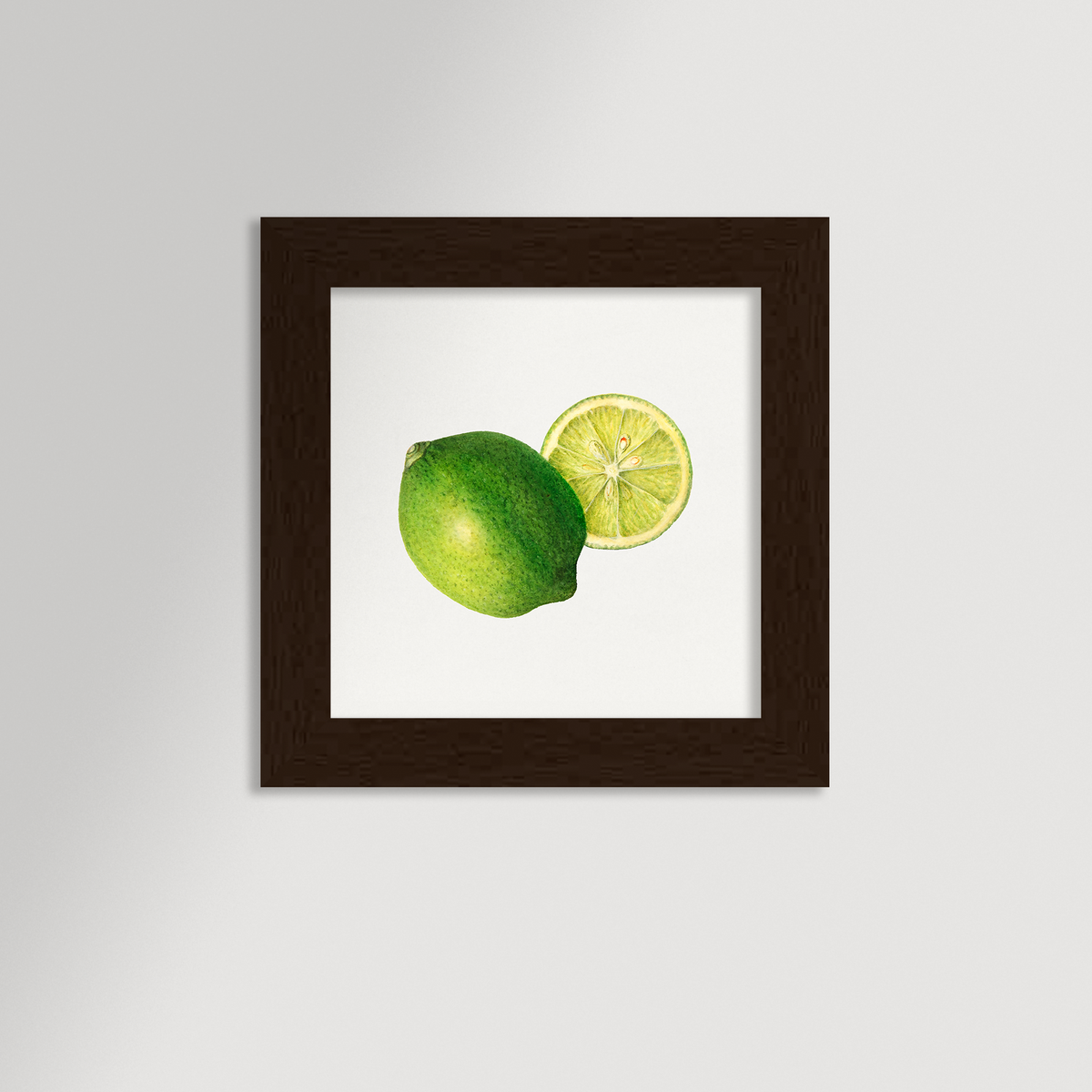 Lime Illustration Archival Reproduction Art Print