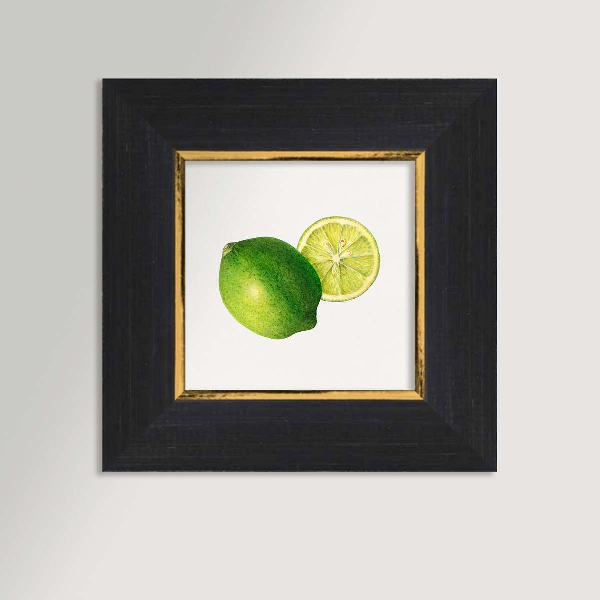 Lime Illustration Archival Reproduction Art Print