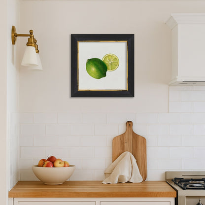 Lime Illustration Archival Reproduction Art Print