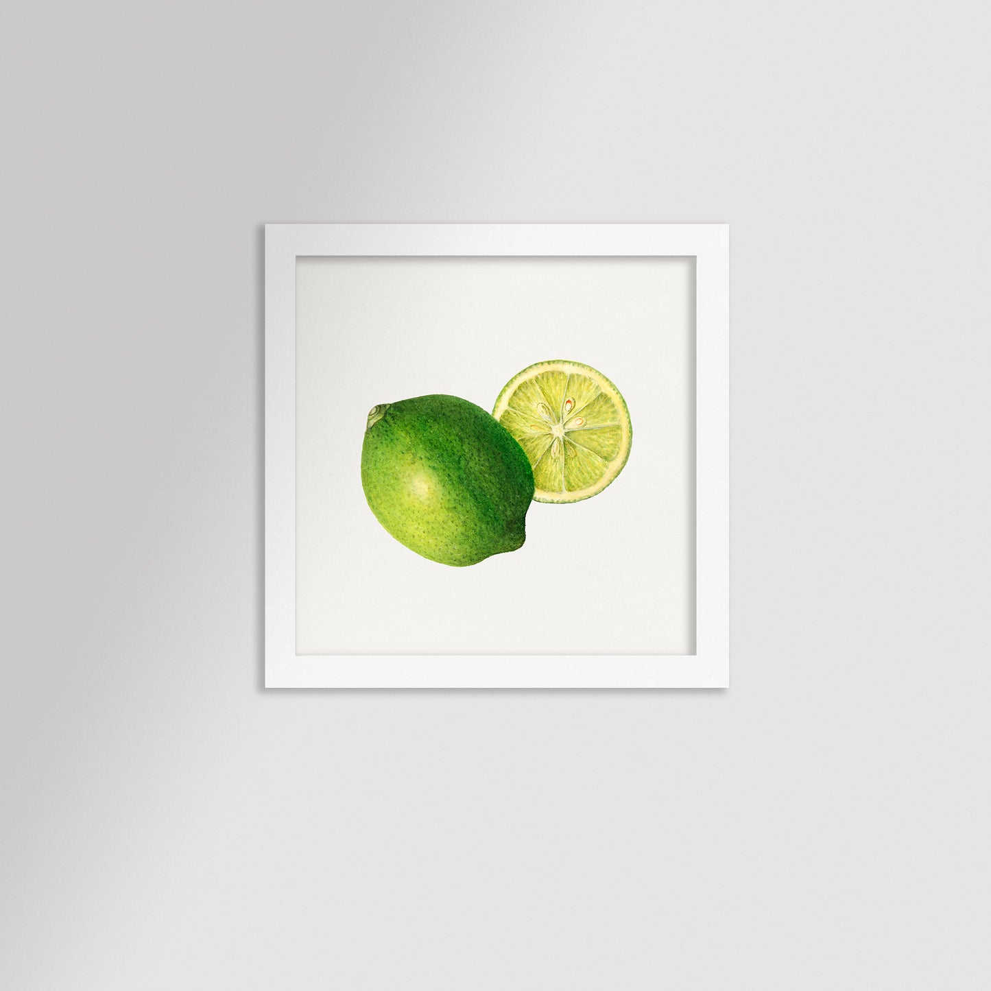 Lime Illustration Archival Reproduction Art Print