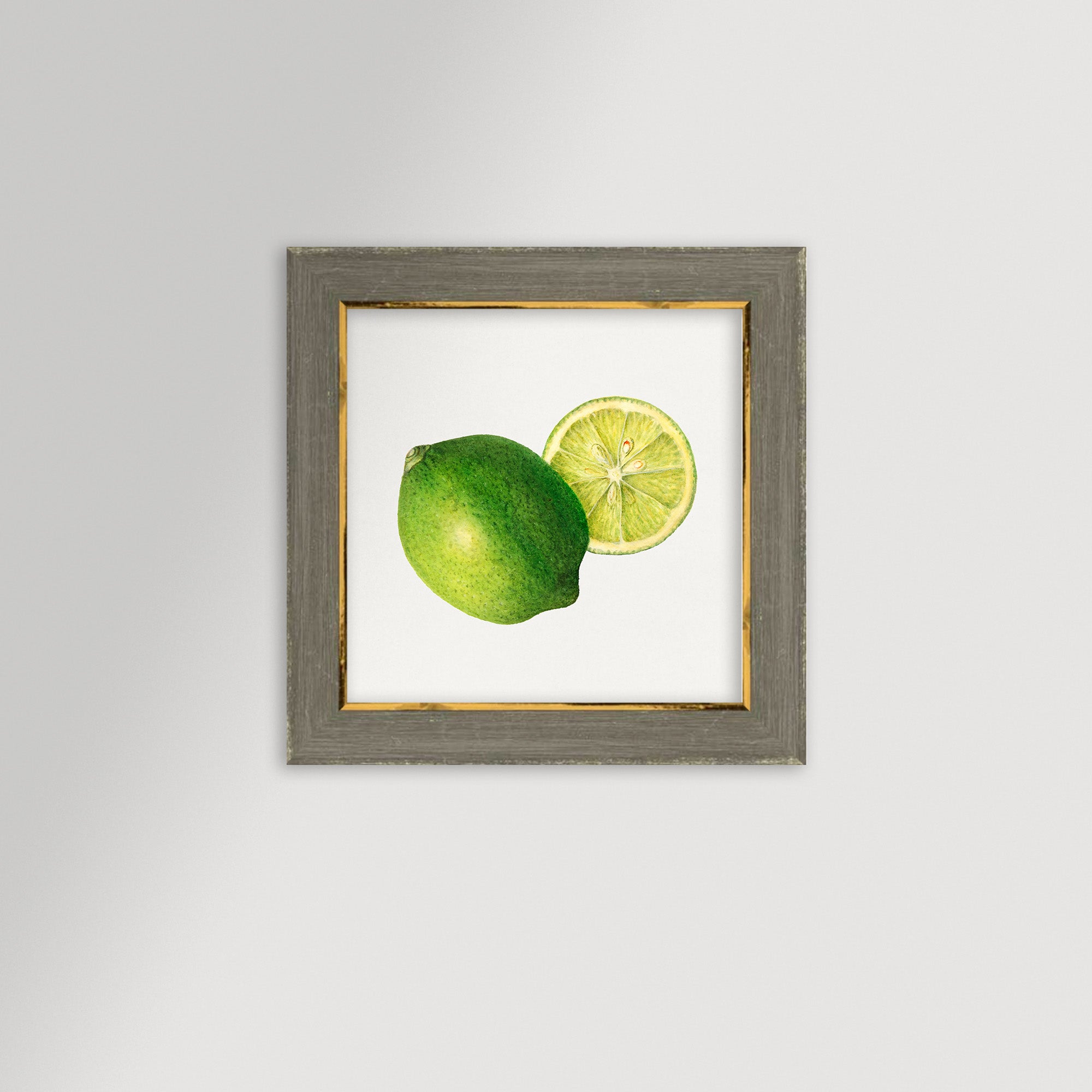Lime Illustration Archival Reproduction Art Print