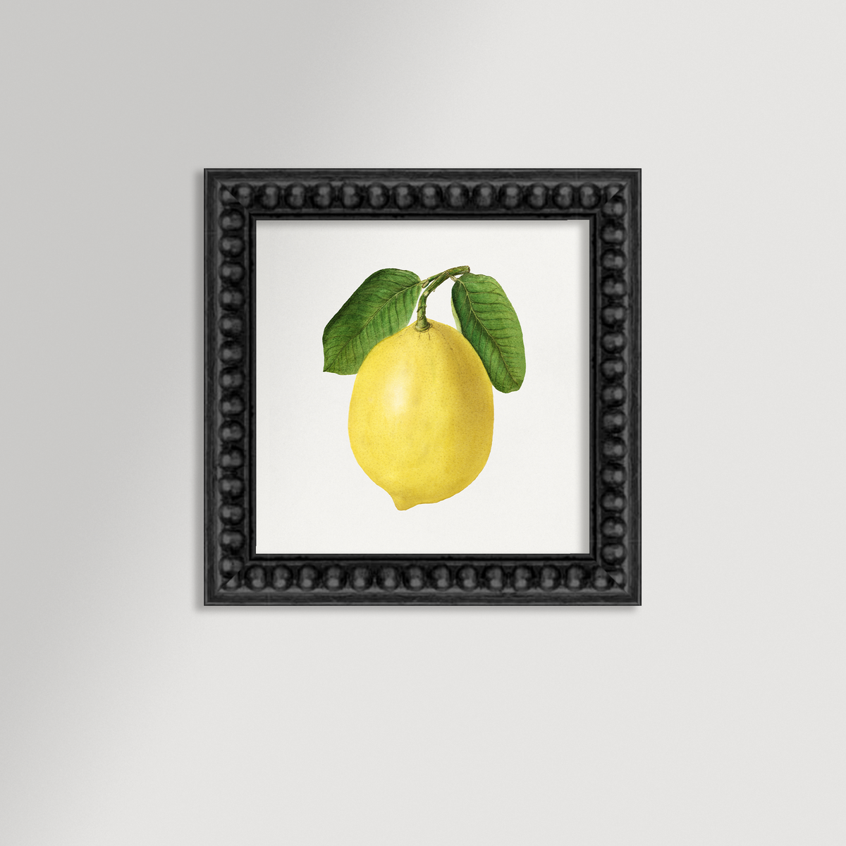 Lemon Illustration Archival Reproduction Art Print