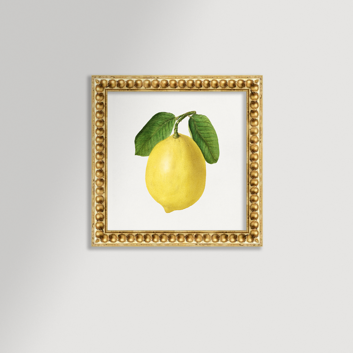 Lemon Illustration Archival Reproduction Art Print