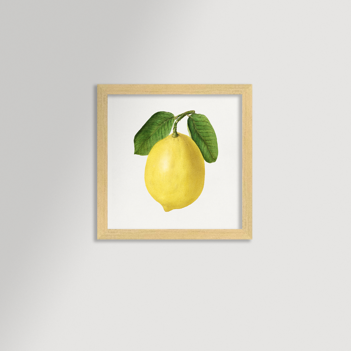 Lemon Illustration Archival Reproduction Art Print