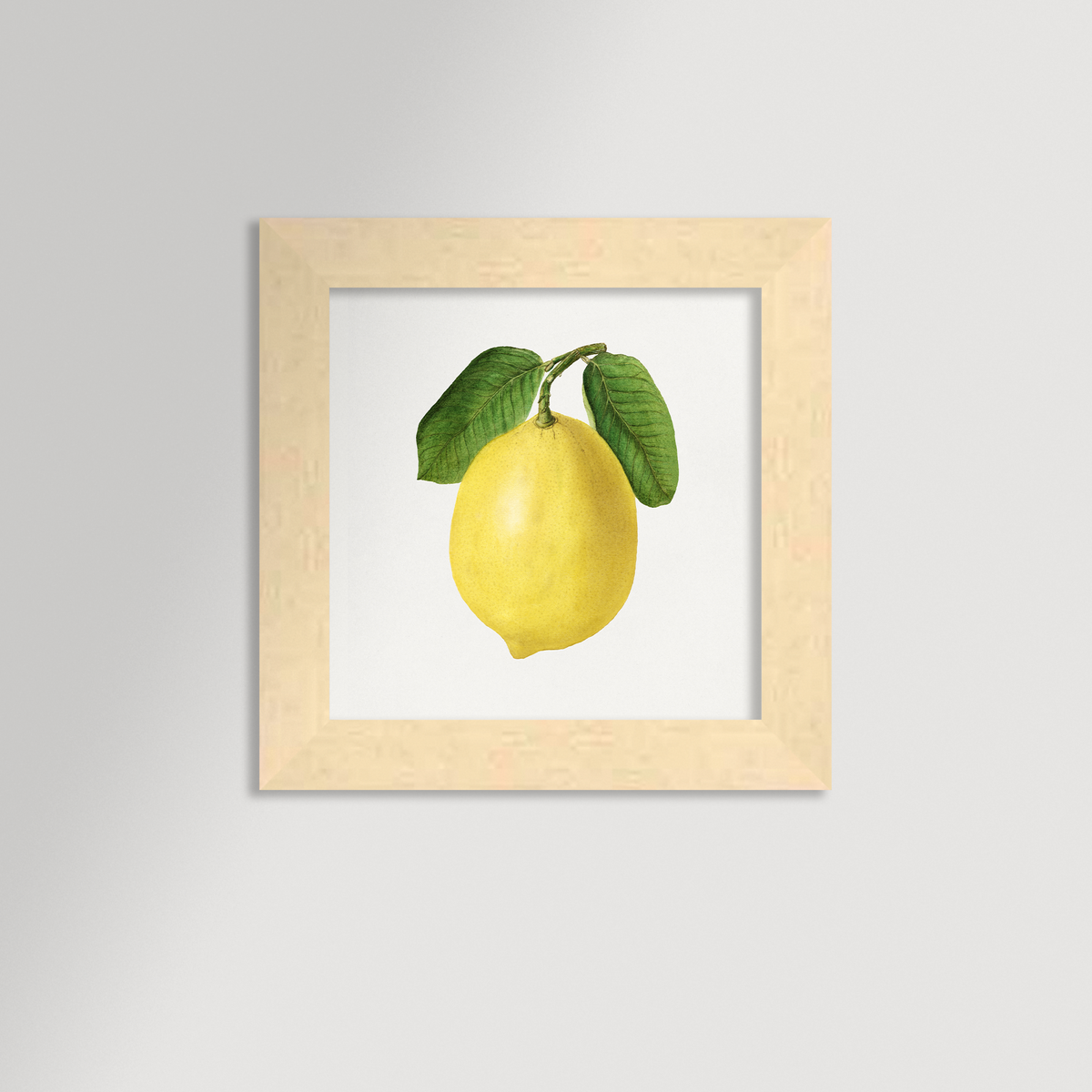 Lemon Illustration Archival Reproduction Art Print