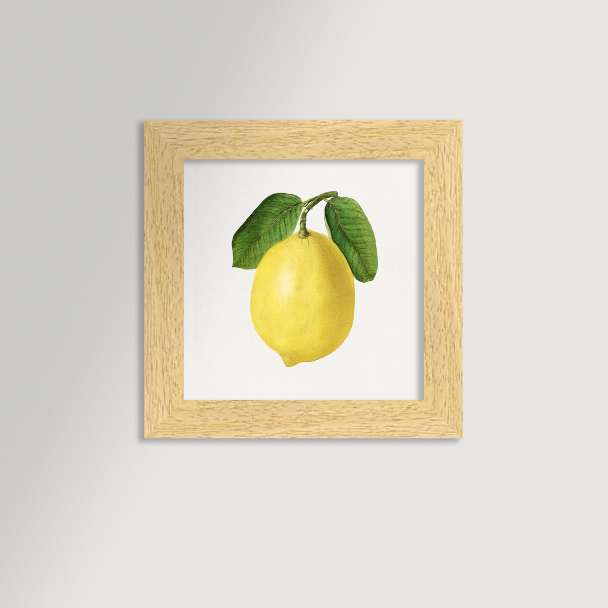 Lemon Illustration Archival Reproduction Art Print