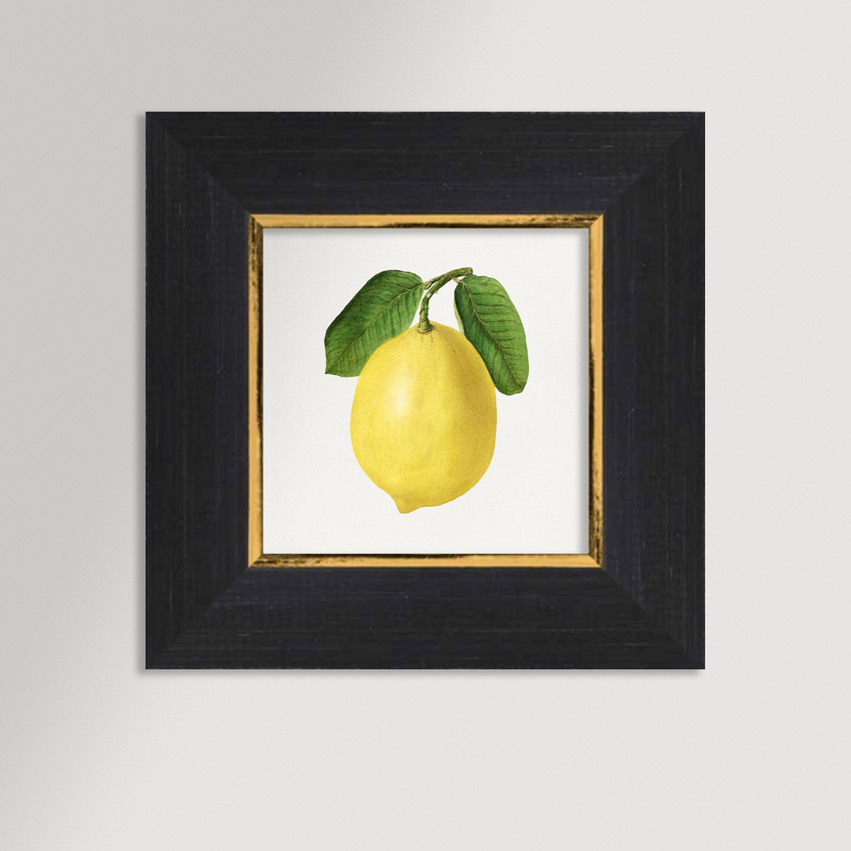 Lemon Illustration Archival Reproduction Art Print