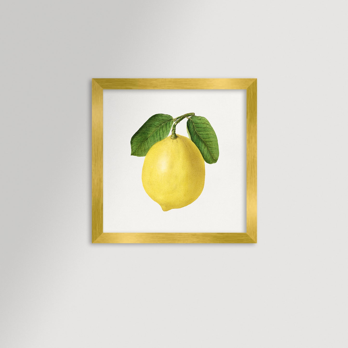 Lemon Illustration Archival Reproduction Art Print