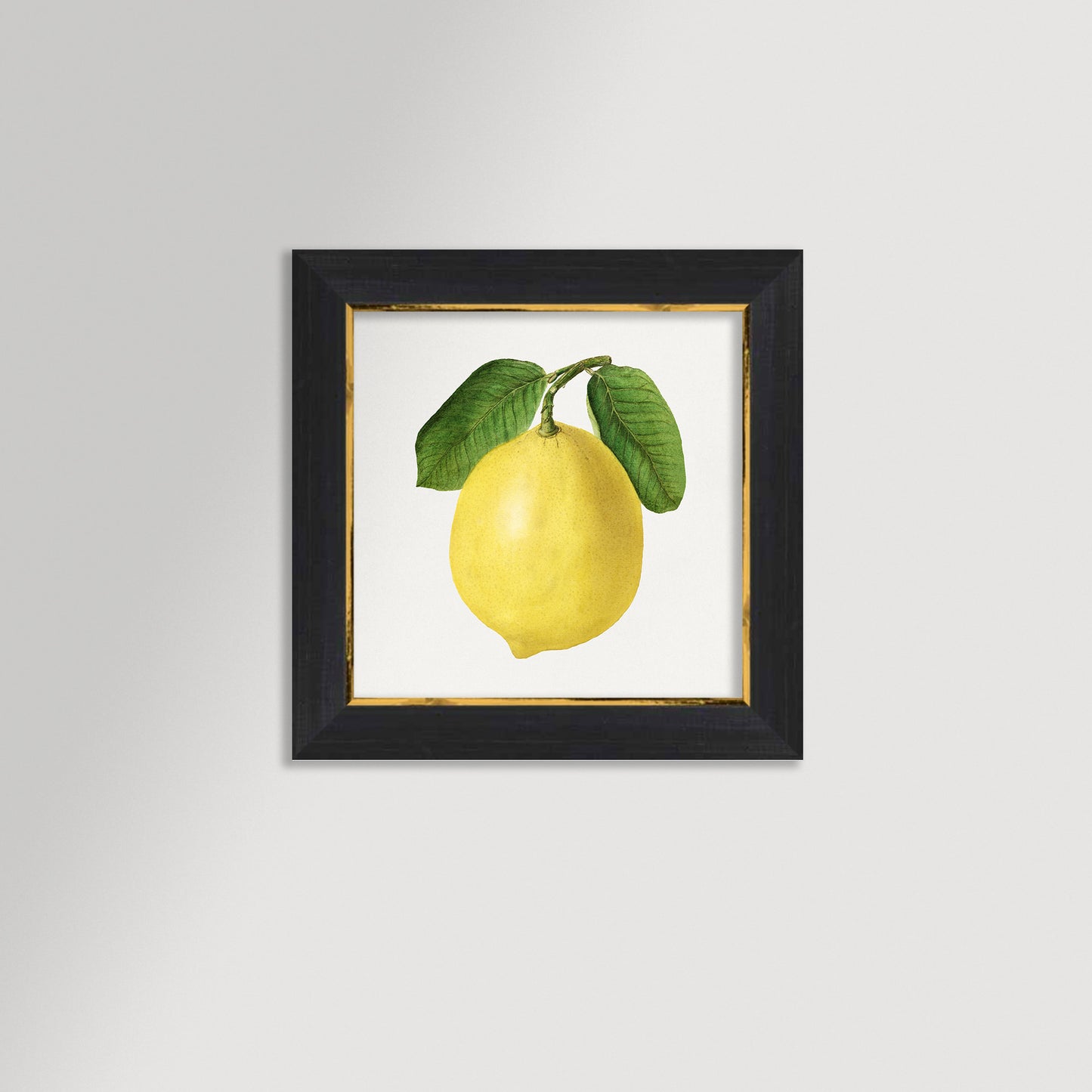 Lemon Illustration Archival Reproduction Art Print