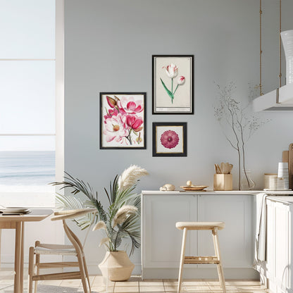 Magnolia Illustration Archival Reproduction Art Print