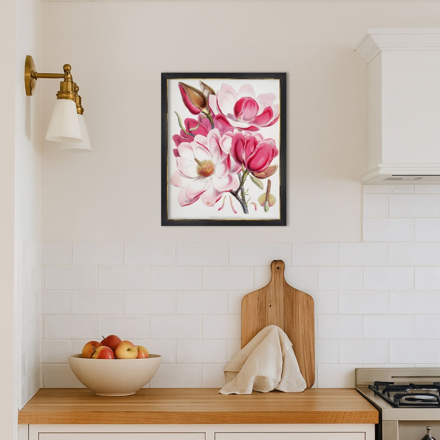 Magnolia Illustration Archival Reproduction Art Print