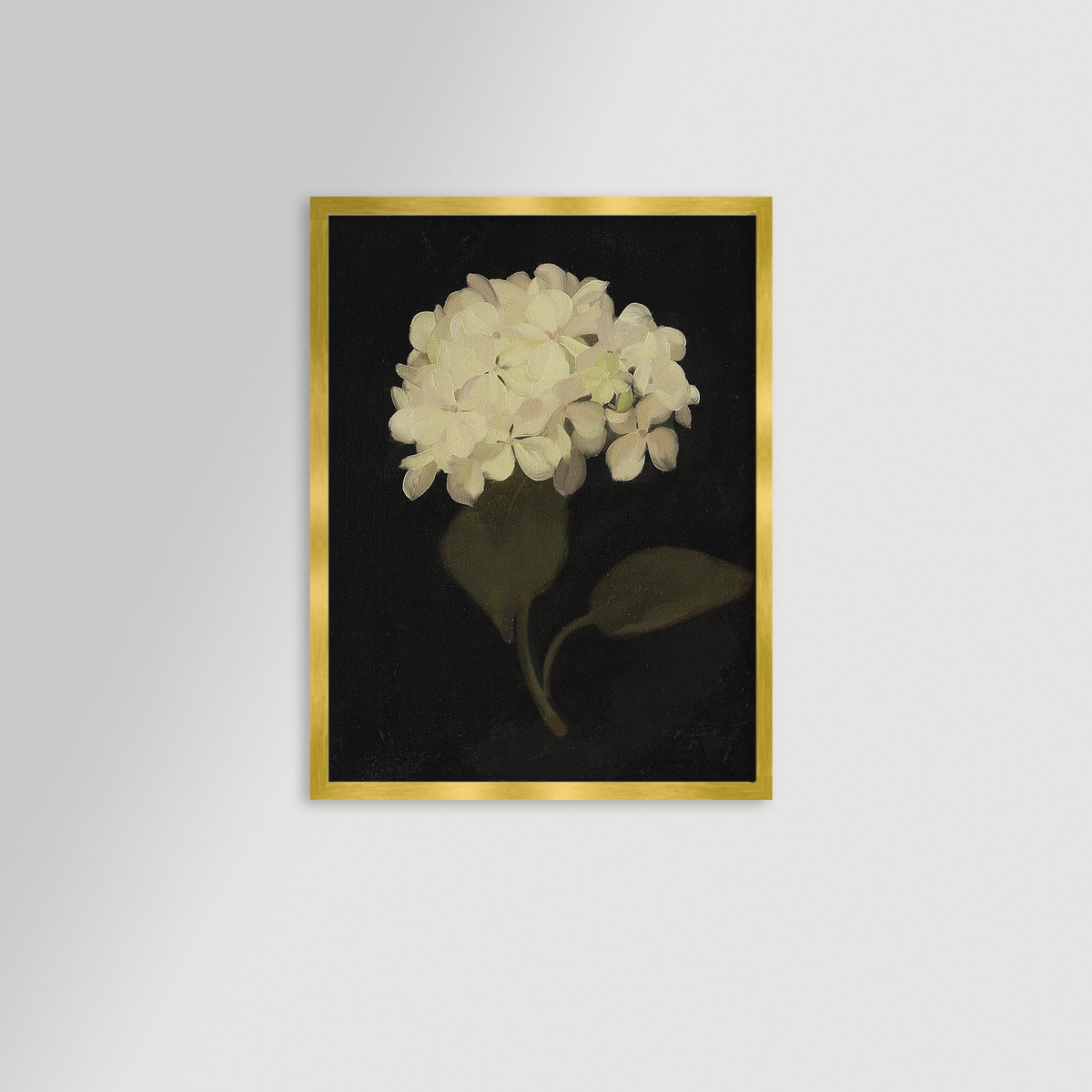 Hydrangea Black Archival Reproduction Art Print