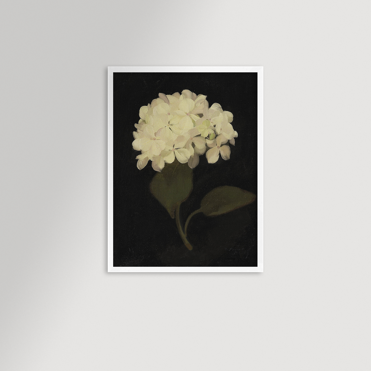 Hydrangea Black Archival Reproduction Art Print