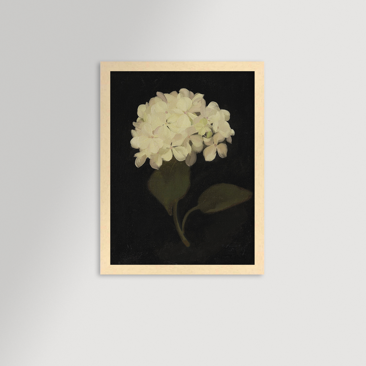 Hydrangea Black Archival Reproduction Art Print