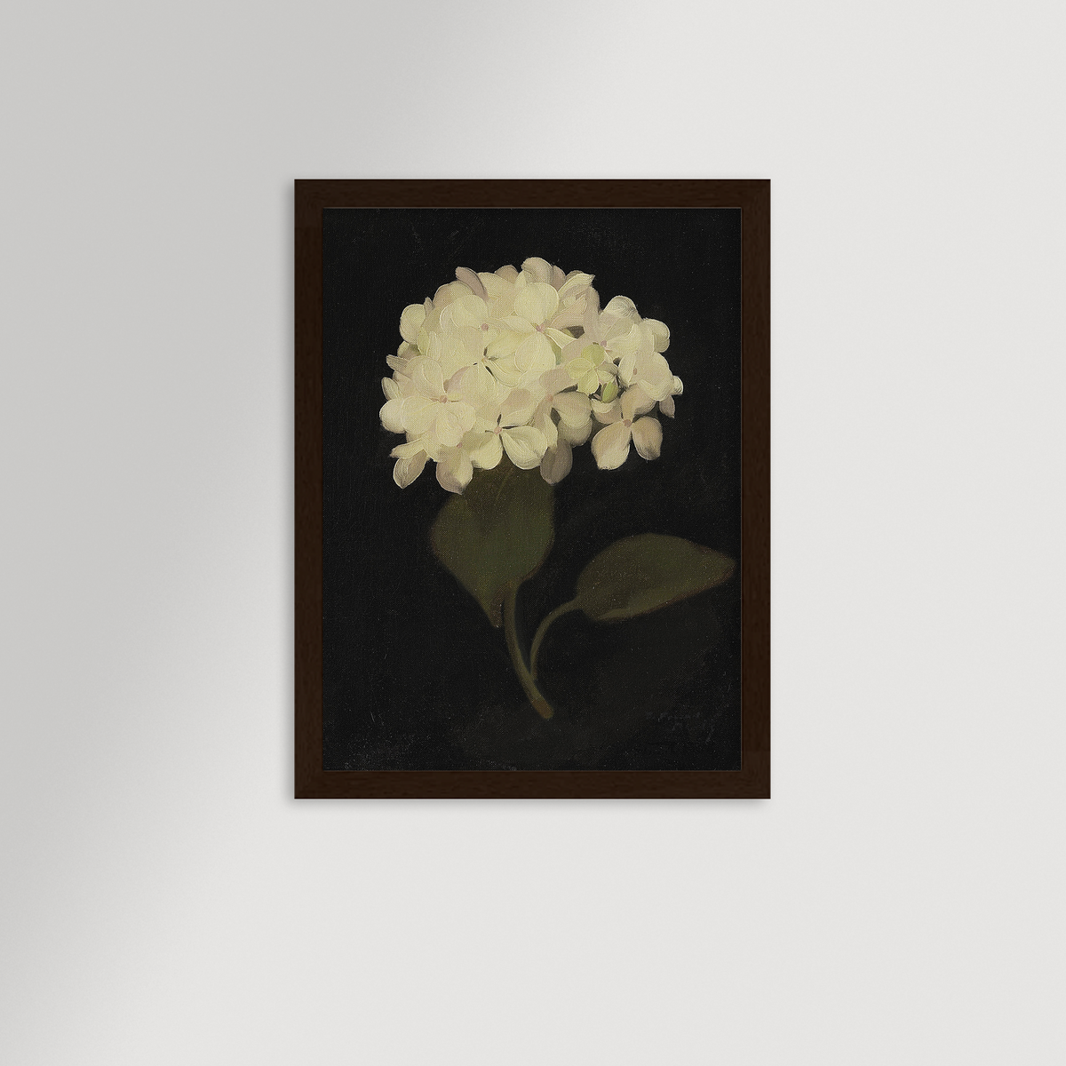 Hydrangea Black Archival Reproduction Art Print