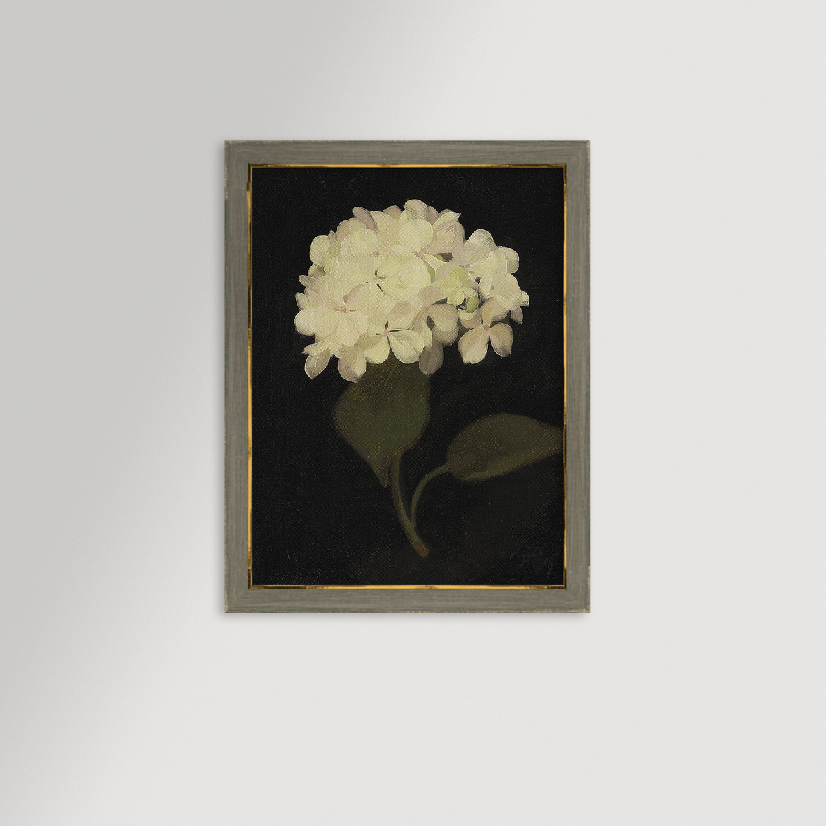 Hydrangea Black Archival Reproduction Art Print