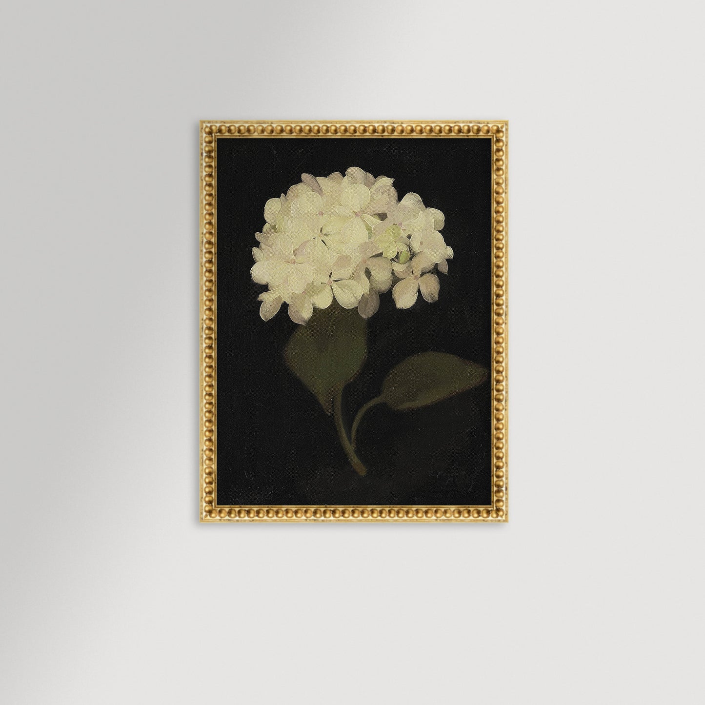 Hydrangea Black Archival Reproduction Art Print