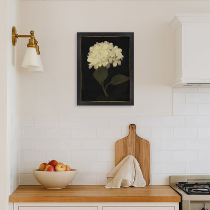 Hydrangea Black Archival Reproduction Art Print
