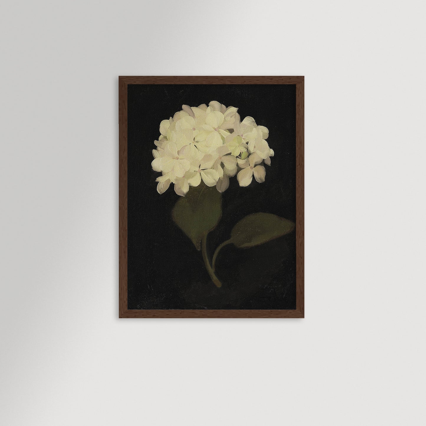 Hydrangea Black Archival Reproduction Art Print