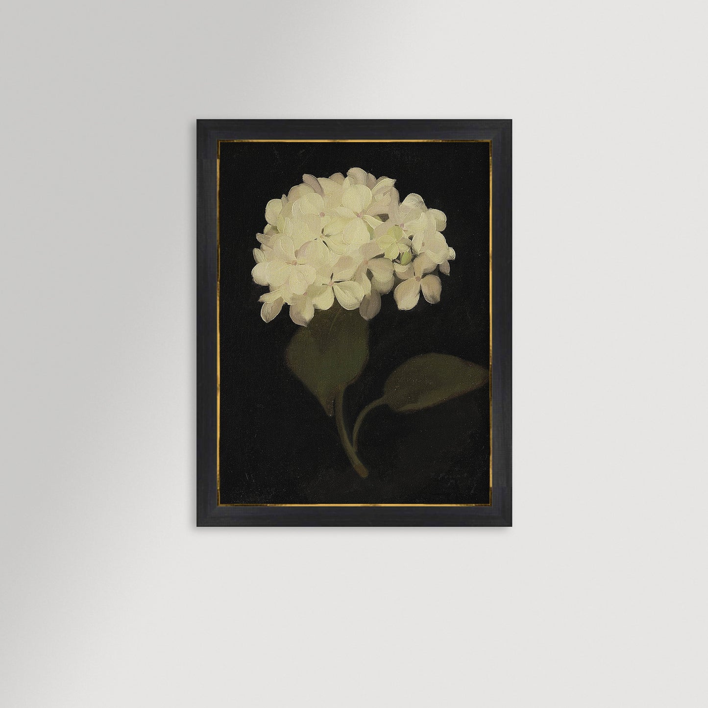 Hydrangea Black Archival Reproduction Art Print