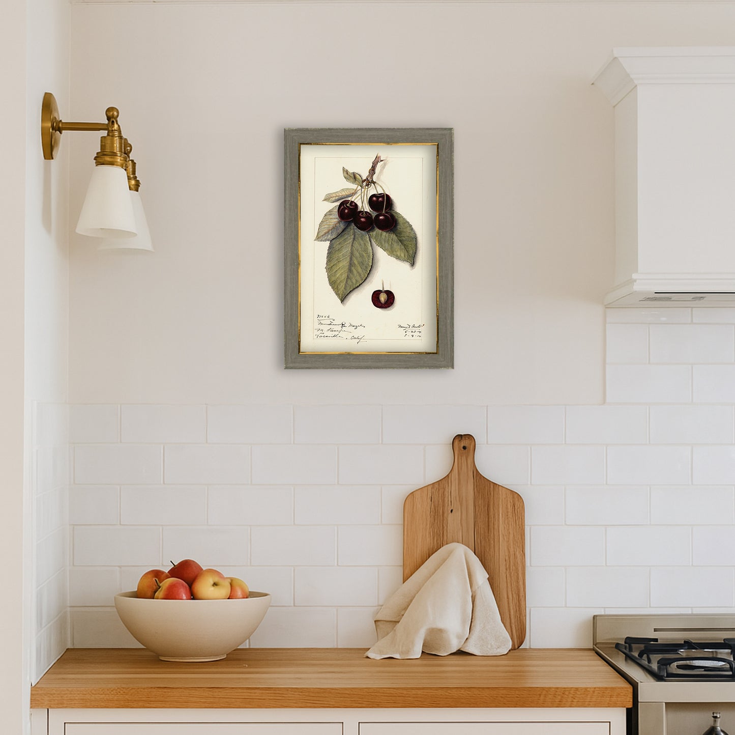 Cherries Botanical Archival Reproduction Art Print