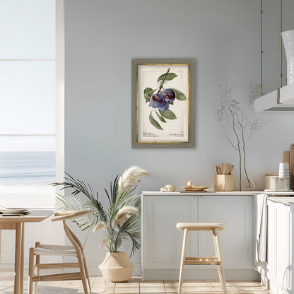 Plum Botanical Archival Reproduction Art Print