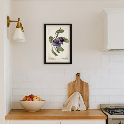 Plum Botanical Archival Reproduction Art Print