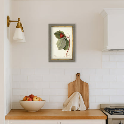Strawberries Botanical Archival Reproduction Art Print