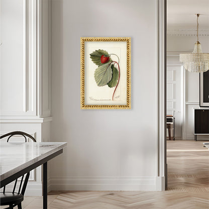 Strawberries Botanical Archival Reproduction Art Print