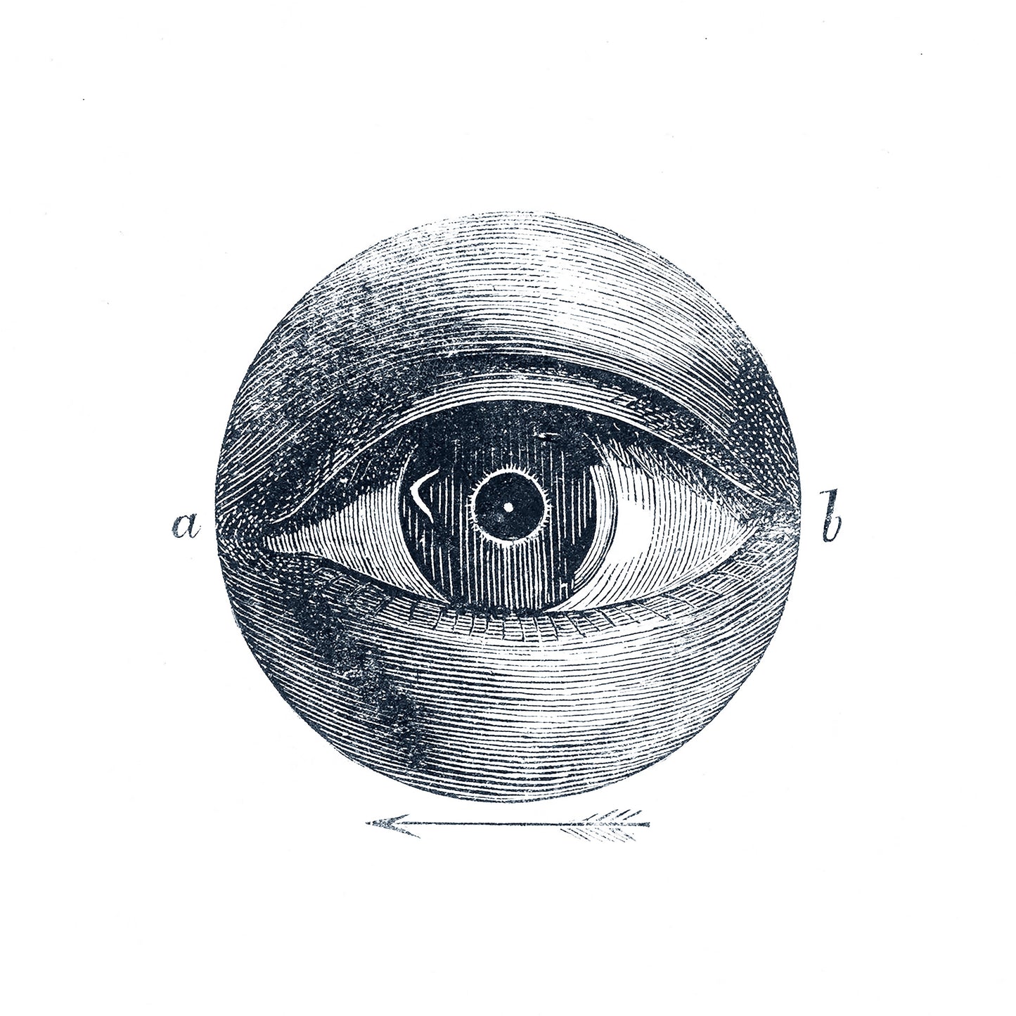 Eye with Arrow Archival Reproduction Art Print