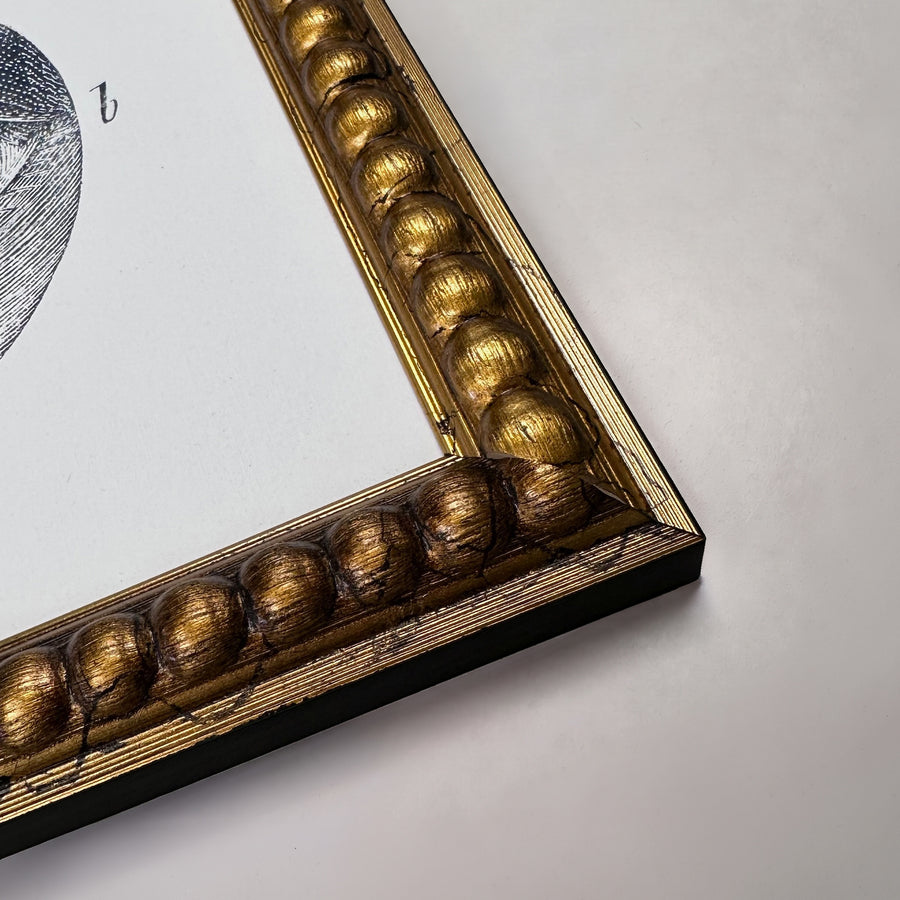 Beatrix frame in gold