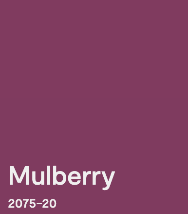 Bertha / China Cabinets & Hutches - Casey Grace Studio, LLC