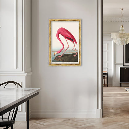 Pink Flamingo Illustration Archival Reproduction Art Print