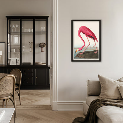 Pink Flamingo Illustration Archival Reproduction Art Print